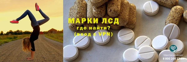 прущие грибы Дмитриев