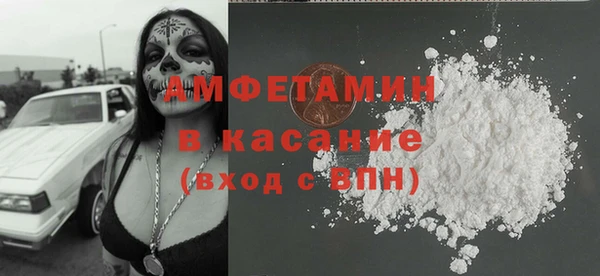 прущие грибы Дмитриев