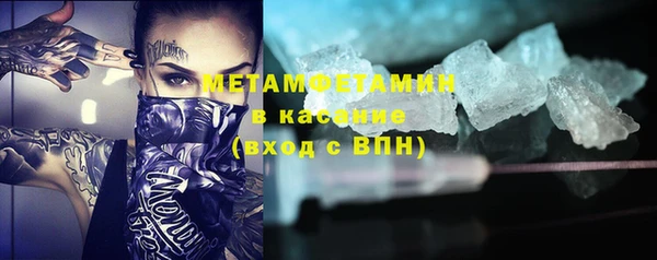 прущие грибы Дмитриев