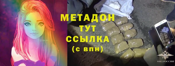 прущие грибы Дмитриев