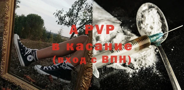 гашик Дмитровск