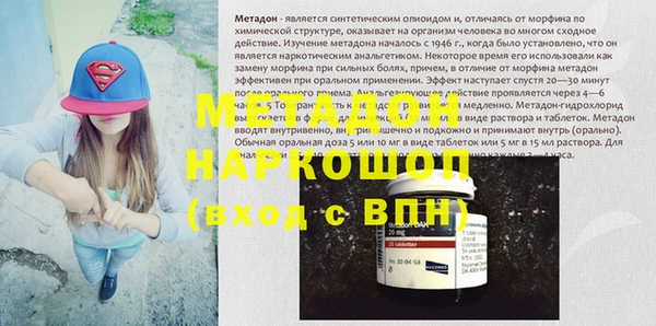 прущие грибы Дмитриев