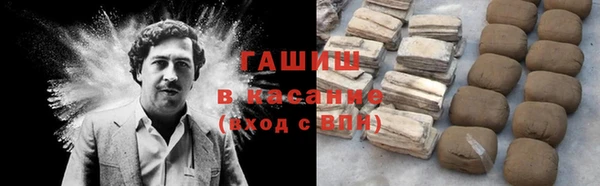 прущие грибы Дмитриев