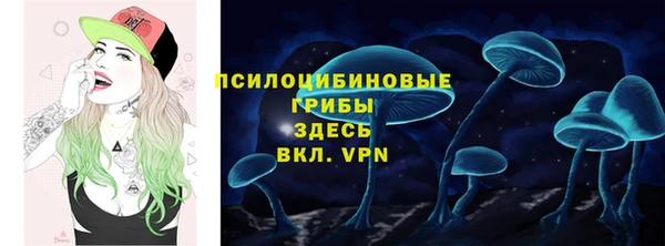 прущие грибы Дмитриев