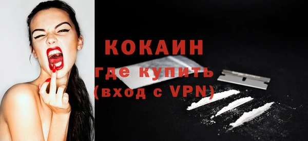 прущие грибы Дмитриев