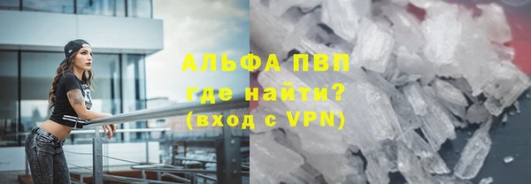 гашик Дмитровск