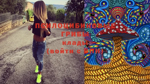 молекула духа Дмитров