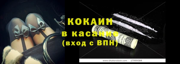 гашик Дмитровск