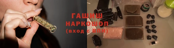 гашик Дмитровск