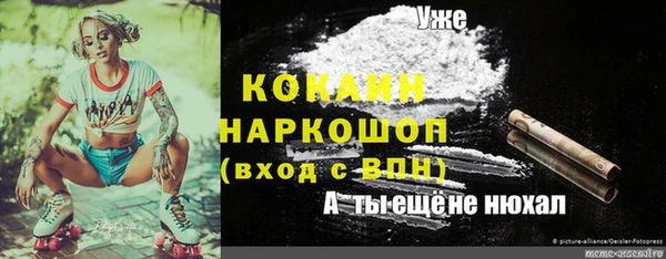 прущие грибы Дмитриев