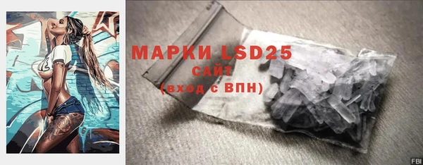 гашик Дмитровск