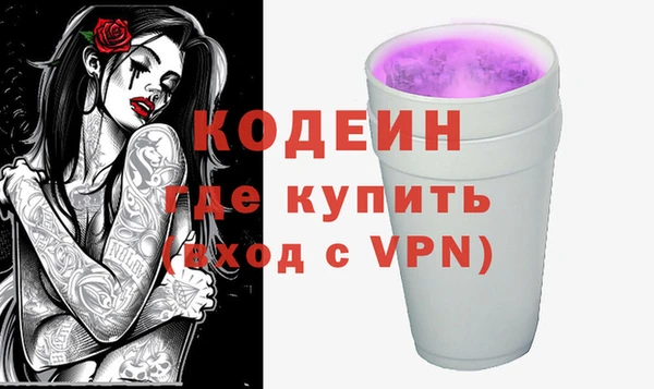 прущие грибы Дмитриев