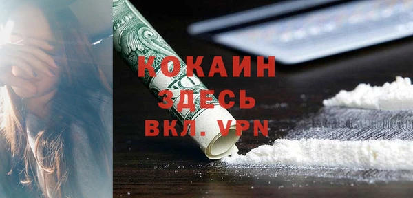 прущие грибы Дмитриев
