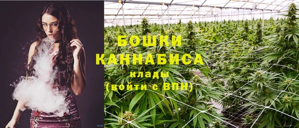 прущие грибы Дмитриев