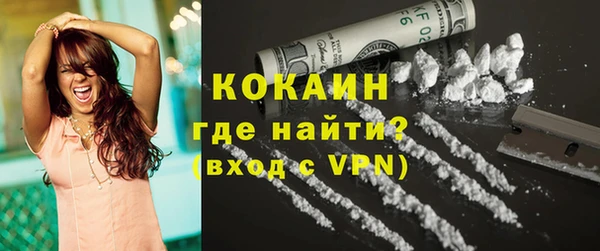 гашик Дмитровск
